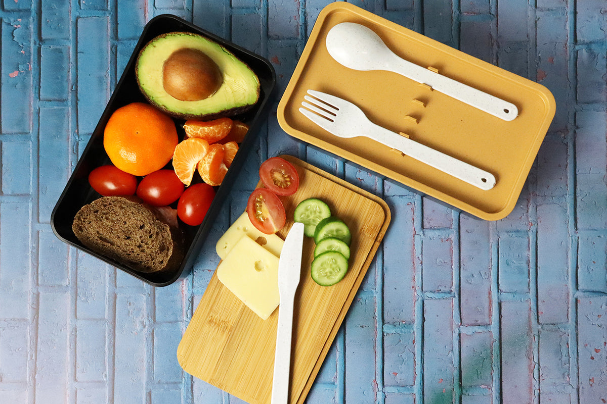 Two-Layer Lunch Box