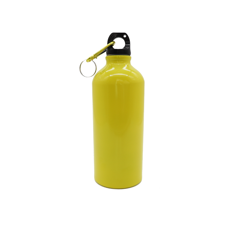 Voyager 600ml Bottle - S899